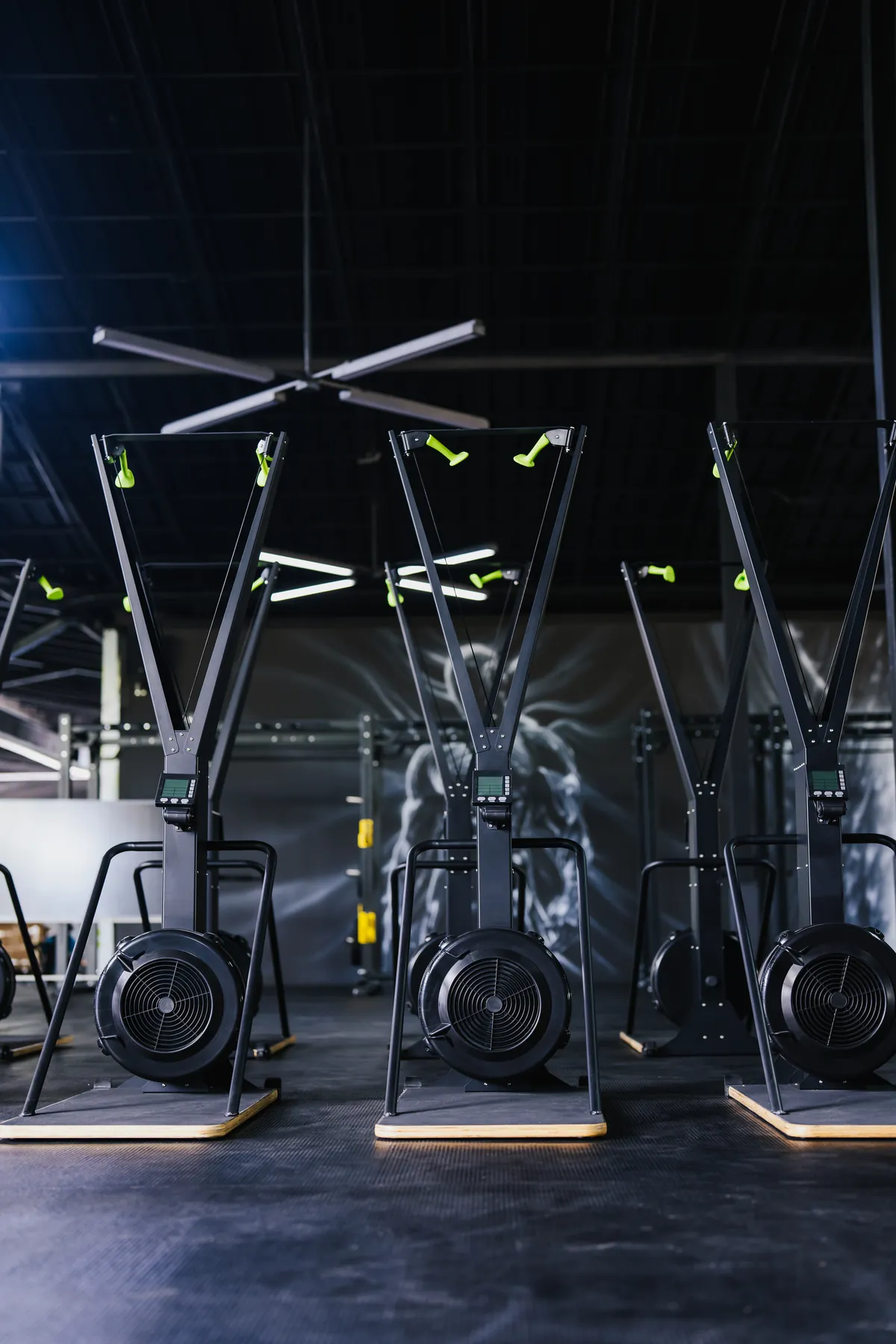 SkiErg stations lined up on the EMPOWER functional fitness floor